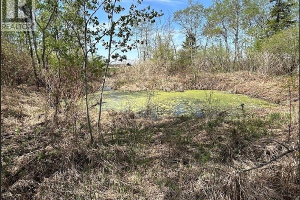 Invermay Acreage, Invermay Rm No  305, SK, photo 3
