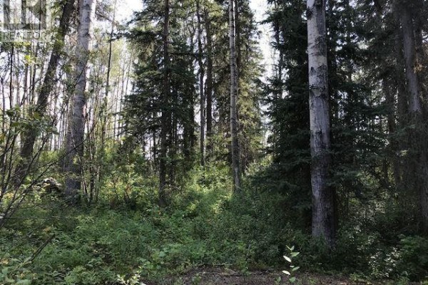 Jardine Road, Vanderhoof, BC V0J3A3 Photo 4
