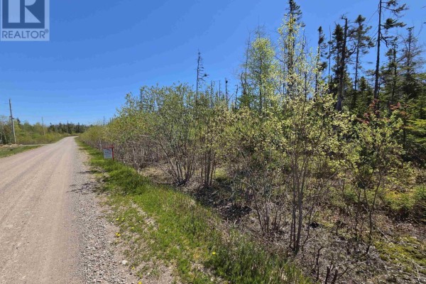 Joseph Macfarlane Drive, Whycocomagh Bay, NS B0E2K0 Photo 3