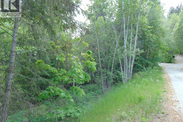 Juniper Circle Lot# 79, Blind Bay, BC V0E2W2 Photo 5