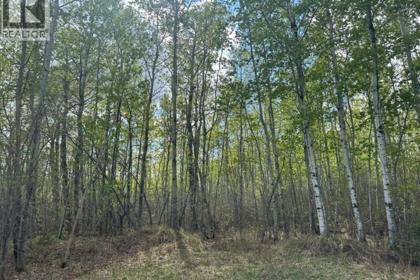 K Cottage Road, Turtle Lake, SK, photo 2