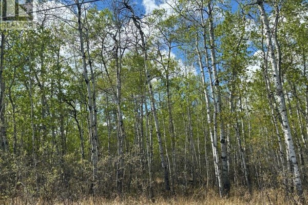 K Cottage Road, Turtle Lake, SK, photo 3