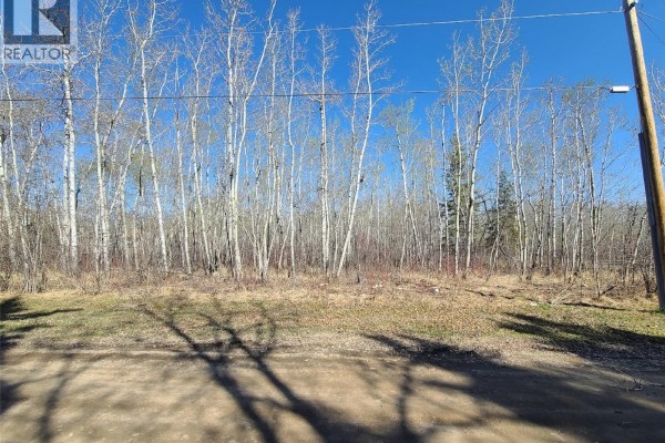 View of a treed lot with a dirt path and shadows cast by the sun. - K Cottage Road, Turtle Lake