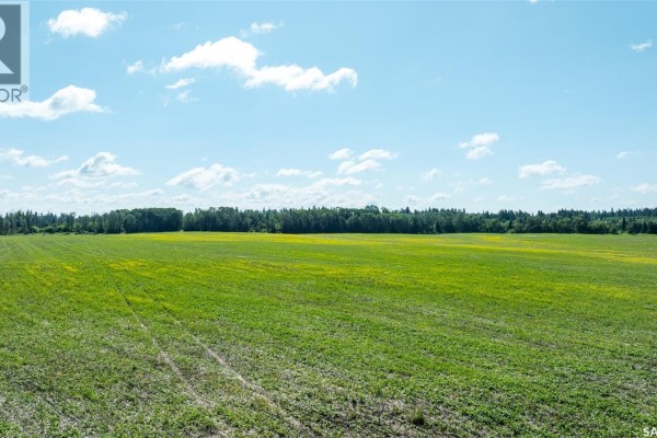 Kalyna Samburg Half, Garden River Rm No  490, SK, photo 3