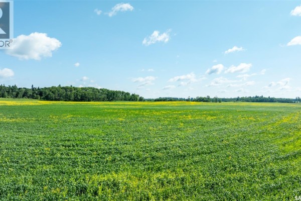 Kalyna Samburg Quarter, Garden River Rm No  490, SK, photo 3