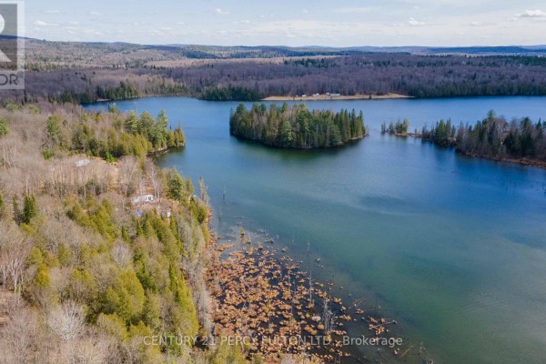 L 24&25 - 0 Lost Nation Road, Brudenell, Lyndoch And Raglan, ON K0J2E0 Photo 5