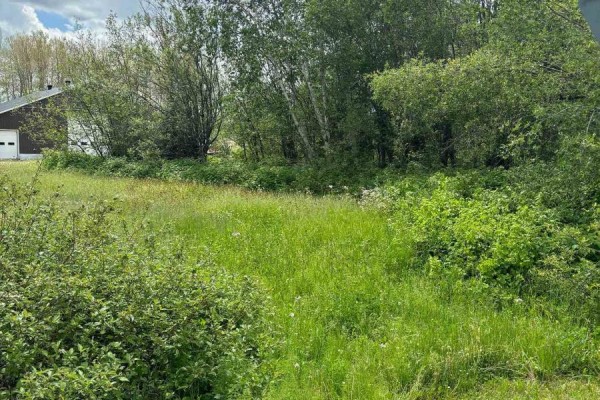 Open grassy area bordered by trees, potential building site - L0t 94-95 Nelson Street, Englehart