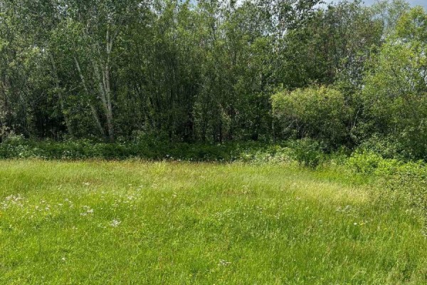 Lush green field with wildflowers and trees in the background - L0t 94-95 Nelson Street, Englehart