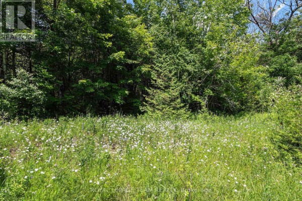L2-3575 Paden Road, Ottawa, ON K0A2T0 Photo 4