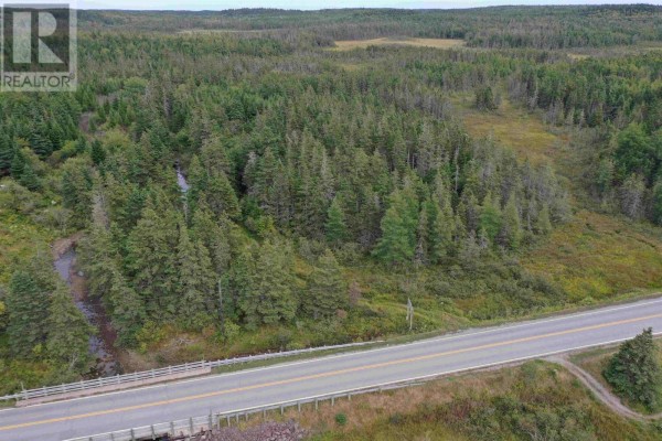 Lake Road, Port Royal, NS B0E3J0 Photo 3