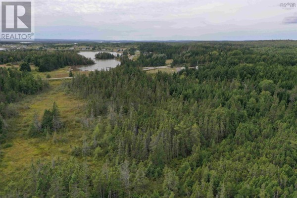 Lake Road, Port Royal, NS B0E3J0 Photo 5