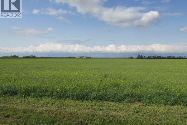 Green fields stretch to the horizon under a cloudy blue sky. - Land East Of Nipawin, Nipawin Rm No  487