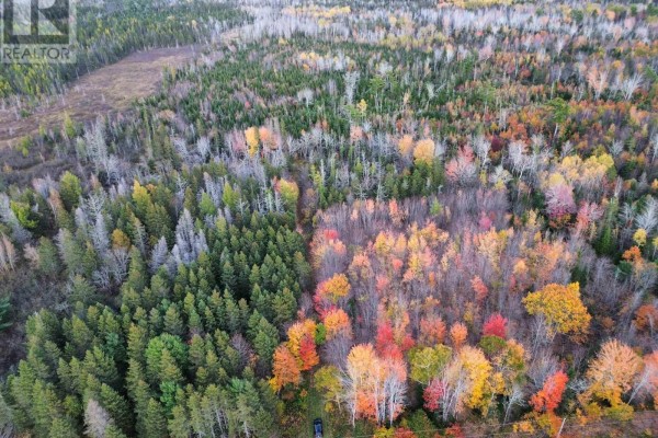Land Highway 307 Wentworth Ns, Lower Wentworth, NS B0M1Z0 Photo 5