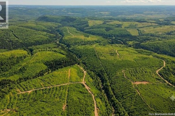 Land Kintore Tower Road, Kintore, NB E7H2P8 Photo 4