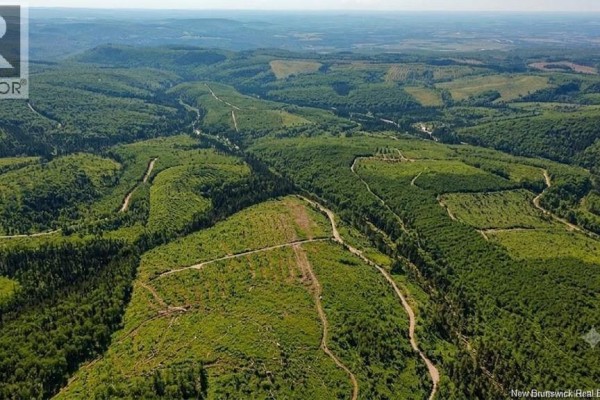 Land Kintore Tower Road, Kintore, NB E7H2P8 Photo 5