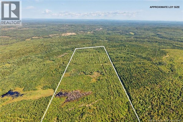 Land Mountain Road, New Market, NB E3E2H9 Photo 3