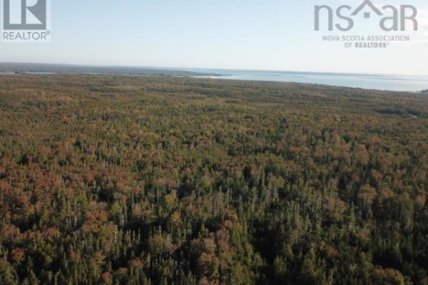 Land Only Shore Road, Ingomar, NS B0W1H0 Photo 3
