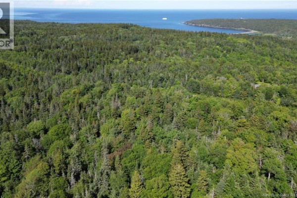 Land Stanley Brook, Grand Manan, NB, photo 3