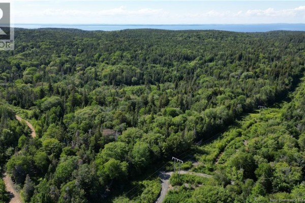Land Stanley Brook, Grand Manan, NB E5G1L8 Photo 5