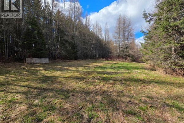 Laplante Road, Saint Leonard Parent, NB E7E0E1 Photo 2