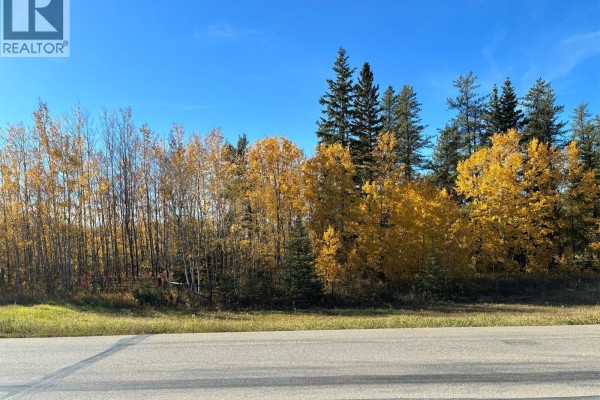 Lariviere Land - 152.9 Acres, Meadow Lake Rm No 588, SK, photo 2