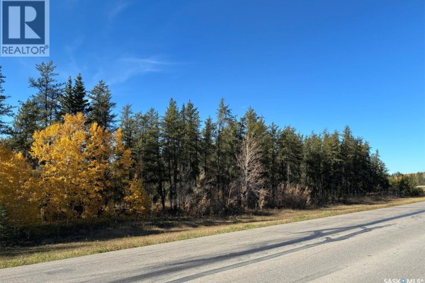 Lariviere Land - 152.9 Acres, Meadow Lake Rm No 588, SK, photo 3