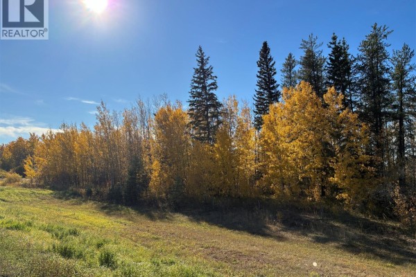 Lariviere Land - 152.9 Acres, Meadow Lake Rm No 588, SK S9X1Z5 Photo 4
