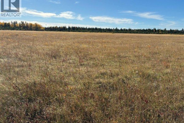 Lariviere Land 86.15 Acres, Meadow Lake Rm No 588, SK S9X1Z5 Photo 4