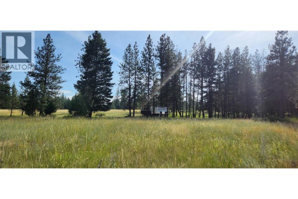 Letcher Street Lot# Parcel A, Elko, BC V0B1T3 Photo 3
