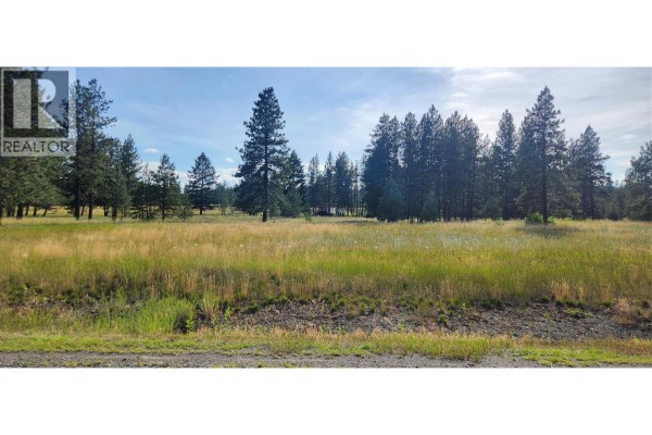 Letcher Street Lot# Parcel A, Elko, BC V0B1T3 Photo 5