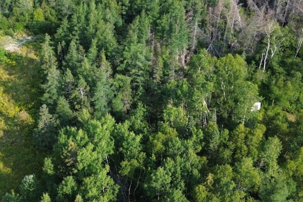 Lingan Road, River Ryan, NS B1H5S2 Photo 4