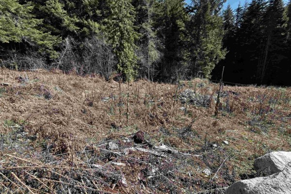 Lmv6 Old Hope Princeton Highway, Sunshine Valley, Sunshine Valley, BC V0X1L5 Photo 4