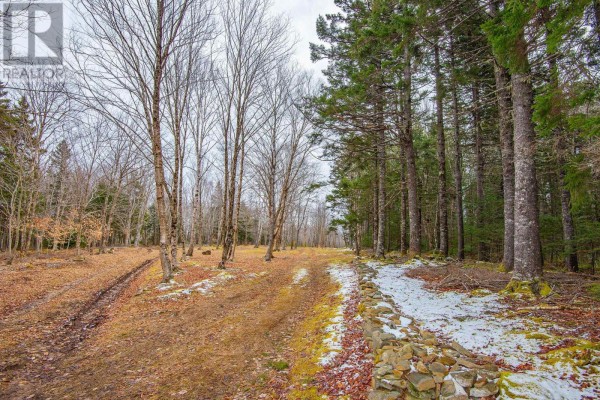 Lot, Peter Leblanc Road, Meteghan, NS B0W2J0 Photo 2