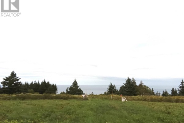Lot (pid 01290402) Highway 337, Cape George Point, NS, photo 2