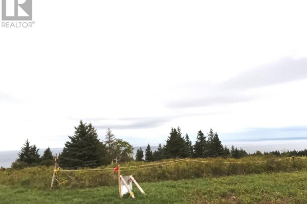 Lot (pid 01290402) Highway 337, Cape George Point, NS B2G2L2 Photo 4