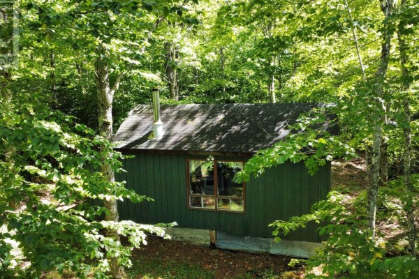 Green cabin nestled among trees, showcasing a sloped roof and multiple windows. - Lot (pid 20505046) Truro Road, New Annan