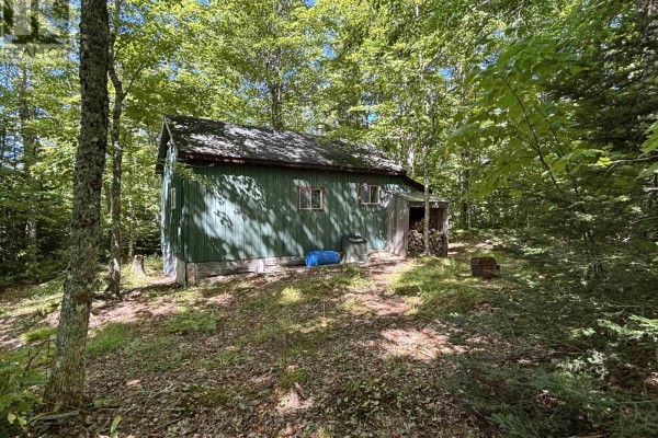 Back view of the green cabin with wood storage, surrounded by lush greenery. - Lot (pid 20505046) Truro Road, New Annan