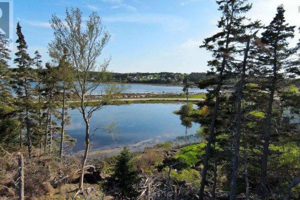 Tall green pine trees frame a view of the calm, blue water on the island. - Lot (pid 60333259) South East Cove Road, Big Tancook Island