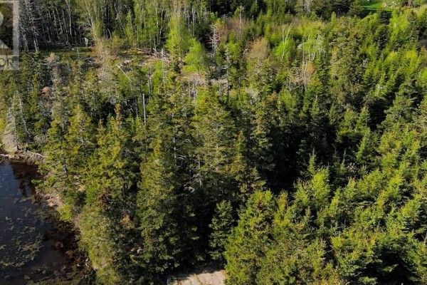 Dense green coniferous forest covers the land with a small body of water visible. - Lot (pid 60333259) South East Cove Road, Big Tancook Island