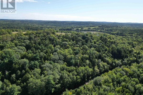 Lot (pid 60348810) Crousetown Road, Conquerall Mills, NS B4V6E5 Photo 5