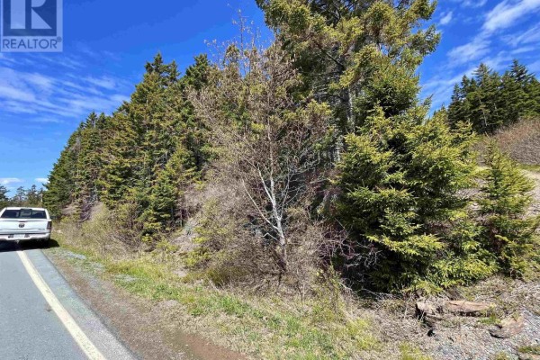 Lot (pid 60466794) Highway 332, Riverport, NS B0J2X0 Photo 3
