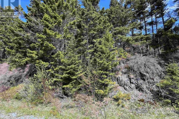 Lot (pid 60466794) Highway 332, Riverport, NS B0J2X0 Photo 4