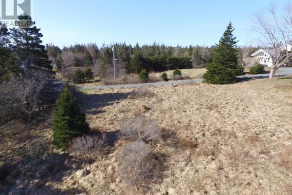 Lot (pid 60493582) Deer Meadow Lane, Crescent Beach, NS B0R1C0 Photo 4
