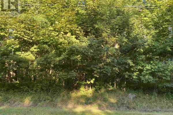 Lot (pid 70088364) Hillside Road, Brooklyn, NS B0J1H0 Photo 4