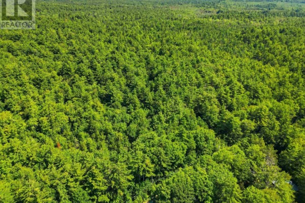 Lot (pid 70115290) Medway River Road, Riversdale, NS B0J2H0 Photo 5