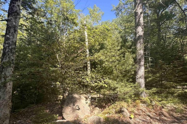 Lot (pid 70241864) Wellington Road, Buckfield, NS B0T1E0 Photo 3