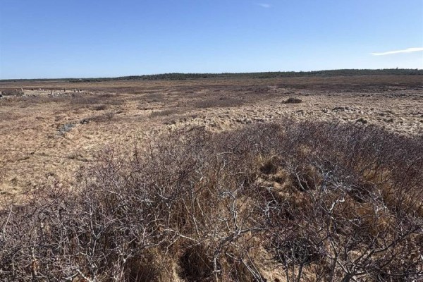 Lot (pid 80062219) Baccaro Road, Baccaro, NS B0W1E0 Photo 4