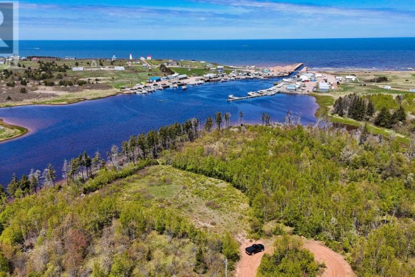 Aerial view shows a natural pond with forested land and a distant harbor with boats. - Lot - 19 Naufrage Pond Lane, Naufrage