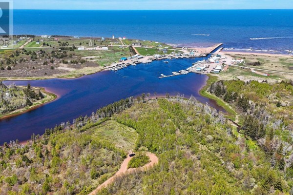 Aerial view shows a natural pond with forested land and a distant harbor with boats. - Lot - 19 Naufrage Pond Lane, Naufrage