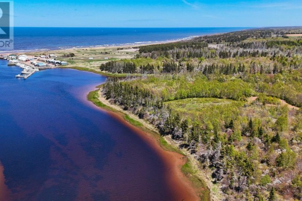 Aerial view of the coastline with a pond, trees, and a distant village and ocean. - Lot - 19 Naufrage Pond Lane, Naufrage